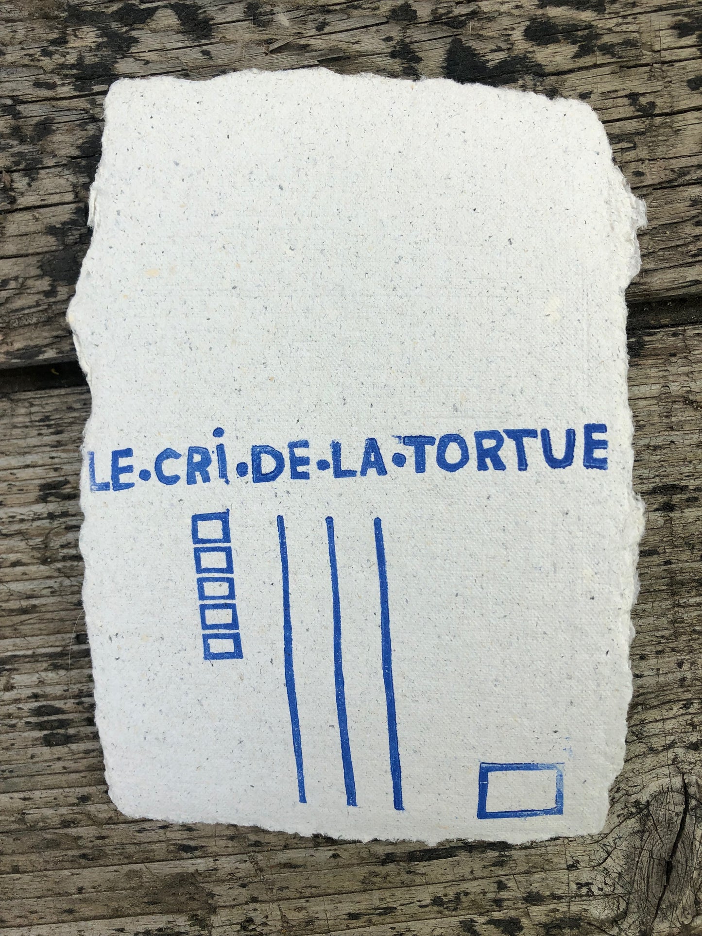 Tournesols - carte postale