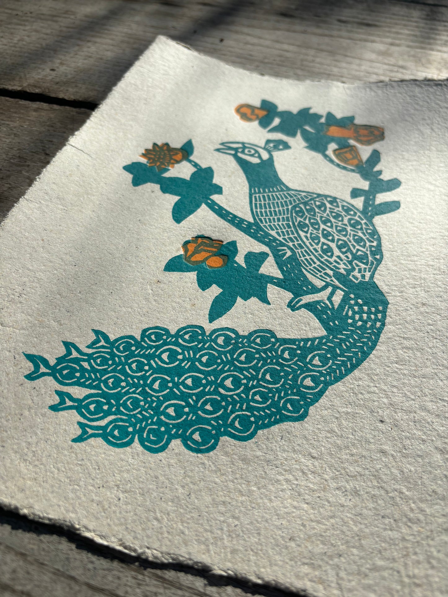 Argos - linogravure
