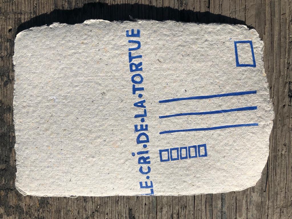 Saumons - carte postale