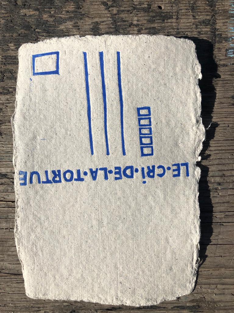 Libellule - carte postale