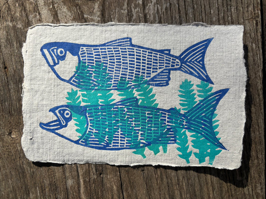 Saumons dans les algues - carte postale