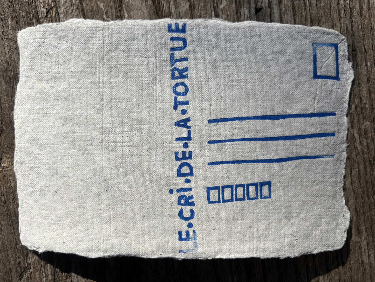 Saumons dans les algues - carte postale