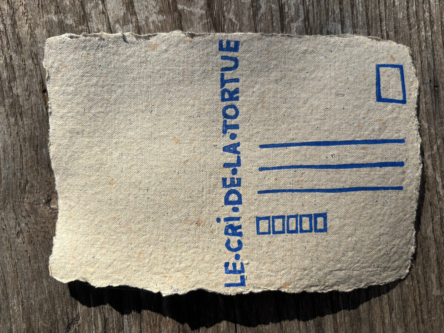 Saumons - carte postale